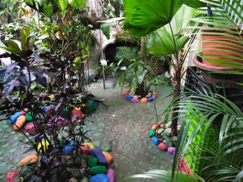 Casa Lima Bed and Breakfast 6-26-2019   This is a walkway inside the Casa Lima Bed and Breakfast Jungle.
