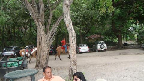 Horse Riding On The Beach
