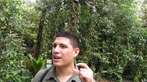 Tour Guide for the Rain Forrest