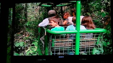 Cable Car Overlooking the Rain Forrest