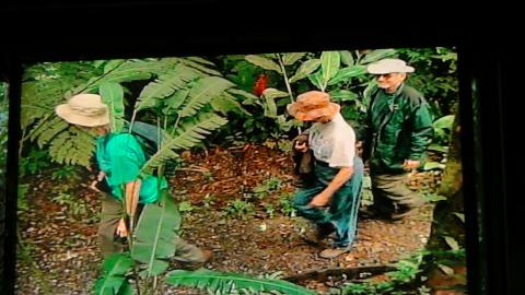 Walking the Trails Inside the Rain Forrest