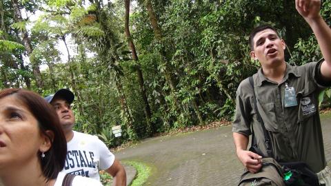 Guide Explaining the Rain Forrest to Myraim Norman