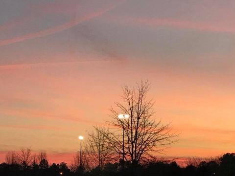 Evening Shy in Fuquary Varina NC 12-31-2017