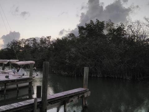 Gilbert's Resort 3 Pelicans