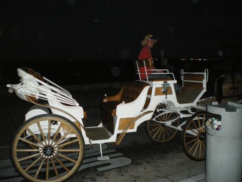 Horse Drawn Wagon at Bayside Market Place in Miami Florida-May 8 2009 (3)