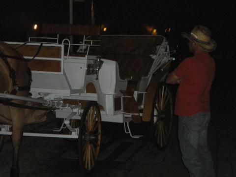 Horse Drawn Wagon at Bayside Market Place in Miami Florida-May 8 2009