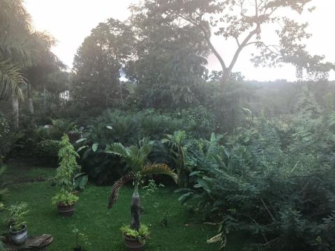 Hot Springs, Costa Rica 1