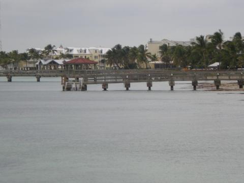 More Piers 10-18-2009