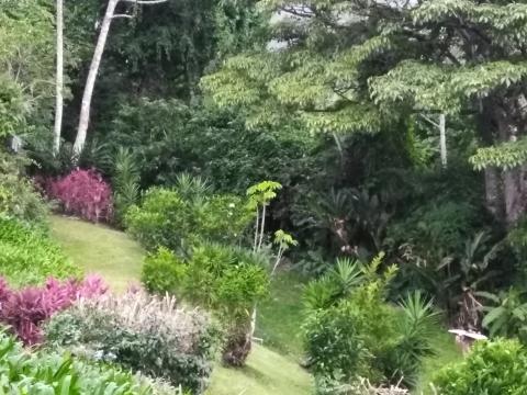 Restaurante La Casona Del Cafetal Backyard Going Down To The Lake