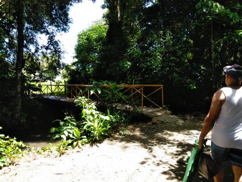 Path From the Main Street to the Parque Nacional Manuel Antonio Park, Costa Rica