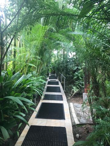 Paradise Hot Springs, Costa Rica 10