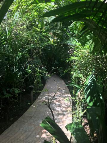 Paradise Hot Springs, Costa Rica 11