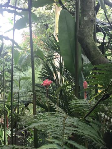 Paradise Hot Springs, Costa Rica 14