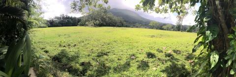 Paradise Hot Springs, Costa Rica 8