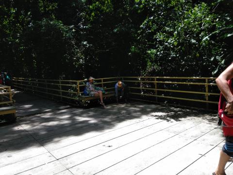 Marjorie Soto and Myriam Norman On the Pathway through the Jungle at Parque Nacional Manuel Antonio Park Costa Rica