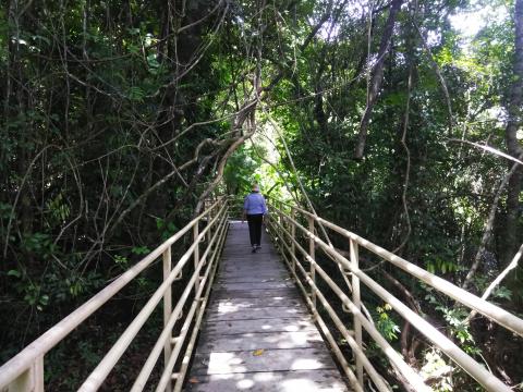 Myriam Norman On the Pathway through the Jungle at Parque Nacional Manuel Antonio Park Costa Rica