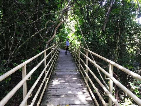 Myriam Norman On the Pathway through the Jungle at Parque Nacional Manuel Antonio Park Costa Rica