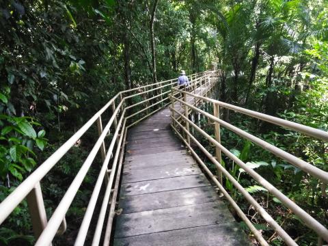 Myriam Norman On the Pathway through the Jungle at Parque Nacional Manuel Antonio Park Costa Rica