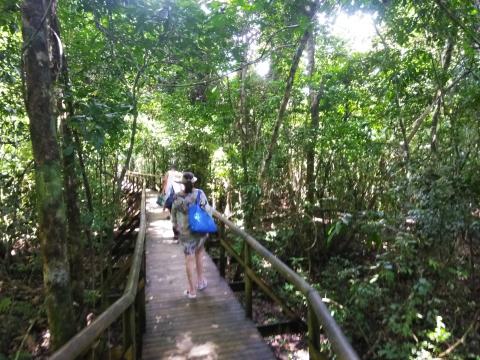 Majorie Soto, Steven Strasburger and Myriam Norman Walking on the Pathway through the Jungle at Parque Nacional Manuel Antonio Park Costa Rica