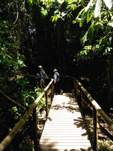 Marjorie Soto and Myriam Norman On the Pathway through the Jungle at Parque Nacional Manuel Antonio Park Costa Rica