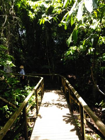 Marjorie Soto and Myriam Norman On the Pathway through the Jungle at Parque Nacional Manuel Antonio Park Costa Rica