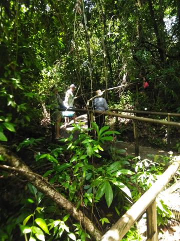Marjorie Soto, Steven Strasburger and Myriam Norman On the Pathway through the Jungle at Parque Nacional Manuel Antonio Park Costa Rica