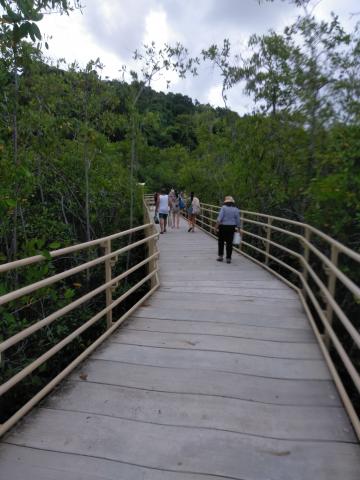 Myriam Norman Return Path to the Entrance to the Parque Nacional Manuel Antonio Park in Costa Rica