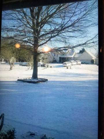 Snow In the Front Yard of Maria Speratti and Alex Barrios Home 1-6-2018-001